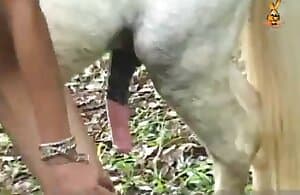 Zoophil gà cưỡi ngựa của cô ấy và quan hệ với nó XXX